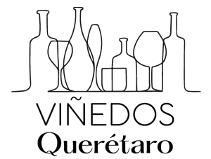 Viñedos Querétaro logo